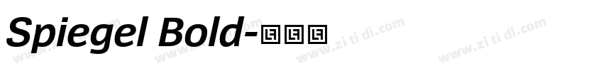 Spiegel Bold字体转换